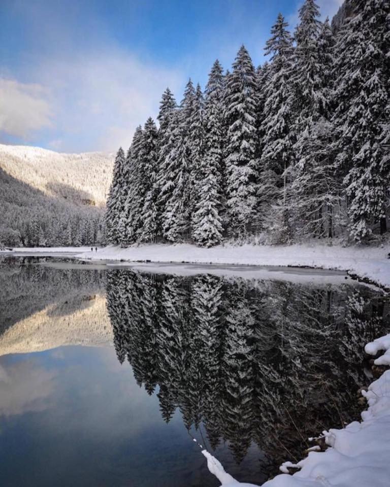 Adonis - Montriond, Morzine, Avoriaz * Montriond