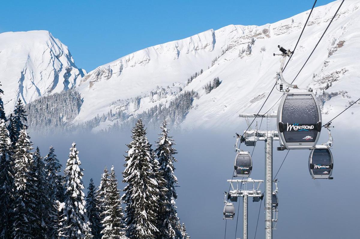 Adonis - Montriond, Morzine, Avoriaz Chalet *